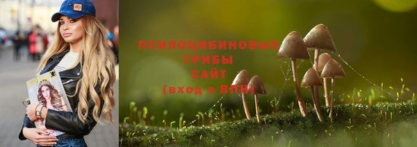 дживик Медногорск