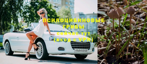 мяу мяу мука Медвежьегорск
