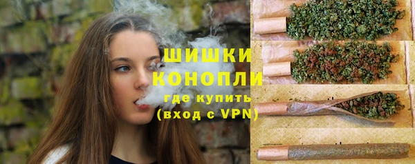 дживик Медногорск