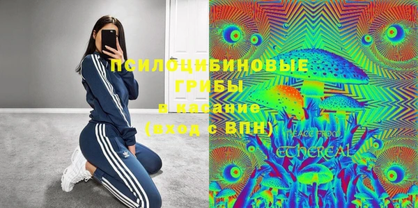 мяу мяу мука Медвежьегорск